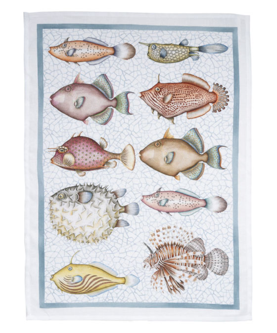 Reef turchese